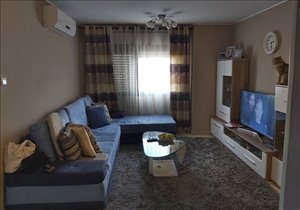 דירה להשכרה 3 חדרים בירושלים הסיירת הירושלמית 