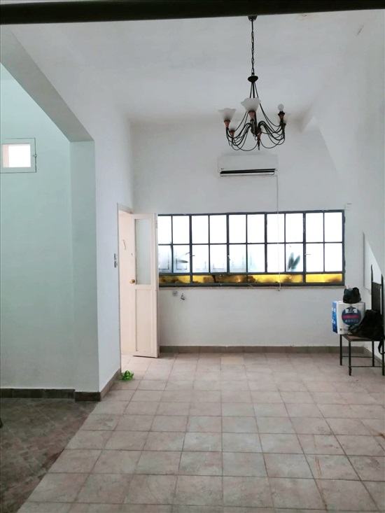 דירה להשכרה 2 חדרים בתל אביב יפו מיכלאנג'לו צהלון 