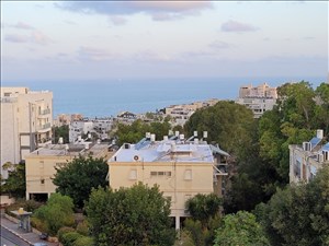דירה להשכרה 3 חדרים בחיפה שונמית רמת תשבי 