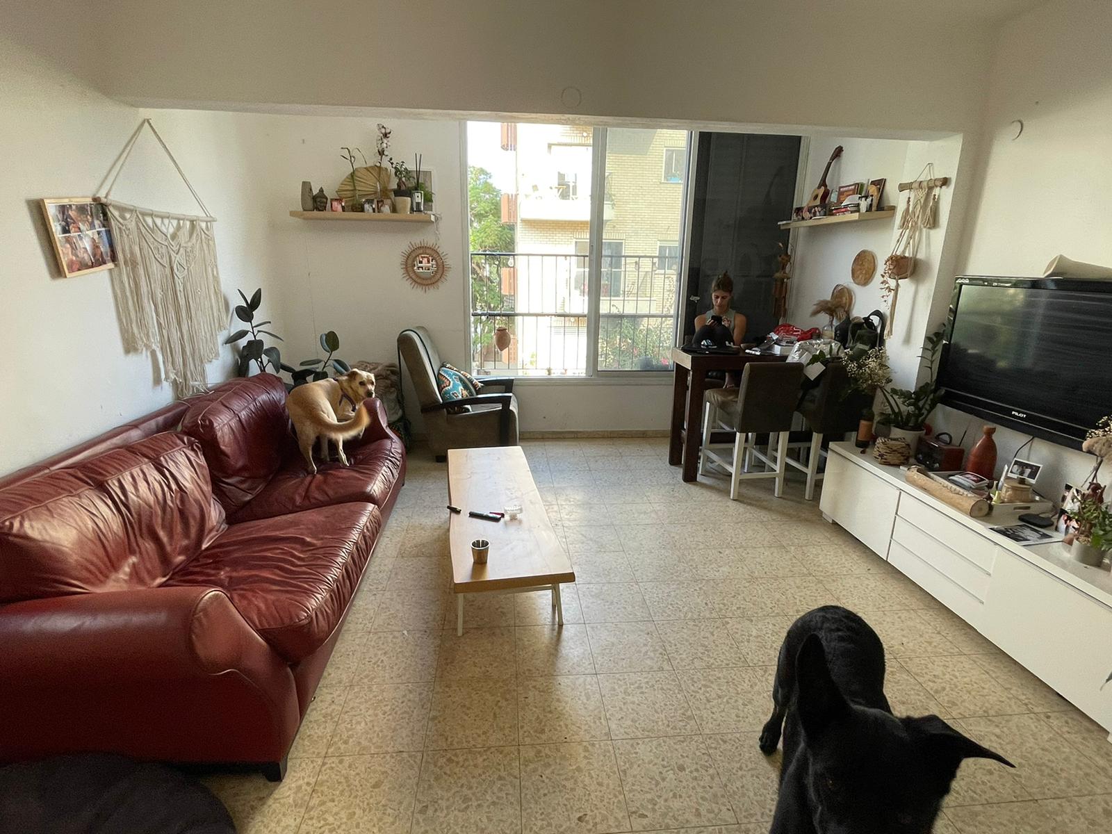 תמונה 1 ,דירה 2 חדרים להשכרה בתל אביב יפו יעבץ לב העיר