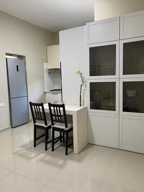 תמונה 6 ,דירה 2 חדרים להשכרה בתל אביב יפו שדרות מסריק הצפון הישן