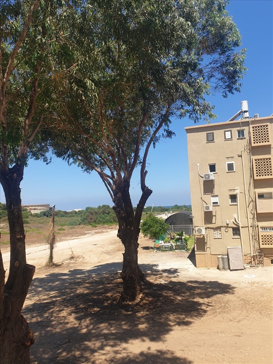 תמונה 5 ,דירה 3.5 חדרים להשכרה בחיפה דגניה קרית חיים המערבית