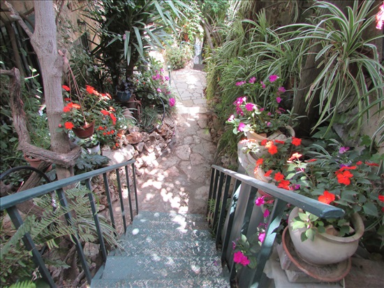 תמונה 6 ,דירת גן 2 חדרים להשכרה בירושלים הנרד  עיר גנים