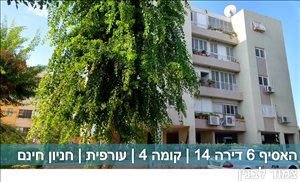 דירה להשכרה 4 חדרים בתל אביב יפו האסיף שפירא 