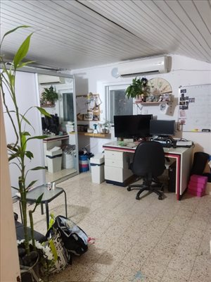 יחידת דיור להשכרה 3 חדרים בתל אביב יפו מאיר נקר  