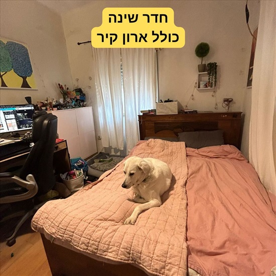 תמונה 1 ,דירה 3 חדרים להשכרה בתל אביב יפו המגיד לב העיר