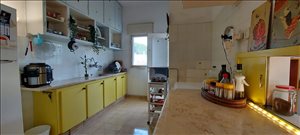 דירת גג להשכרה 4 חדרים בחיפה סמולנסקין 