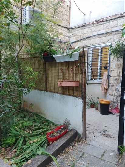תמונה 4 ,דירת גן 2 חדרים להשכרה בחיפה השלום 