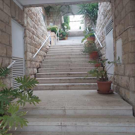 תמונה 8 ,דירה 4 חדרים להשכרה בירושלים קובובי רמת דניה