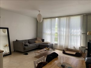 דירה להשכרה 2.5 חדרים בתל אביב יפו פייבל אזור ככר המדינה 