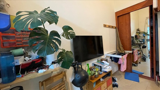תמונה 2 ,דירה 1.5 חדרים להשכרה בתל אביב יפו מקור חיים שפירא
