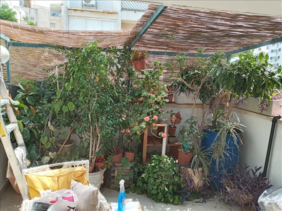 תמונה 4 ,דירת גג 1.5 חדרים להשכרה ברמת גן יד שלום תל יהודה