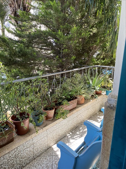 תמונה 2 ,דירה 2 חדרים להשכרה בתל אביב יפו אחימעץ 22 שכונת התקווה