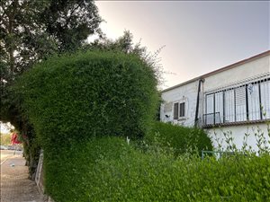 דירה להשכרה 2 חדרים בתל אביב יפו יינון 