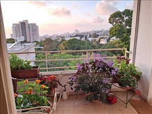 דירה להשכרה 3.5 חדרים בחיפה שדרות הצבי 