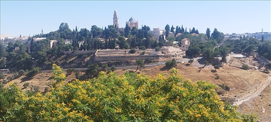 תמונה 8 ,יחידת דיור 1 חדרים להשכרה בירושלים, עשהאל, 