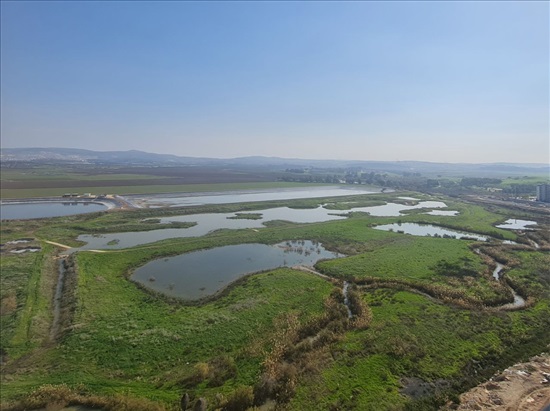 תמונה 5 ,דירה 4 חדרים להשכרה בקרית ביאליק, אריק איינשטיין , נאות אפק