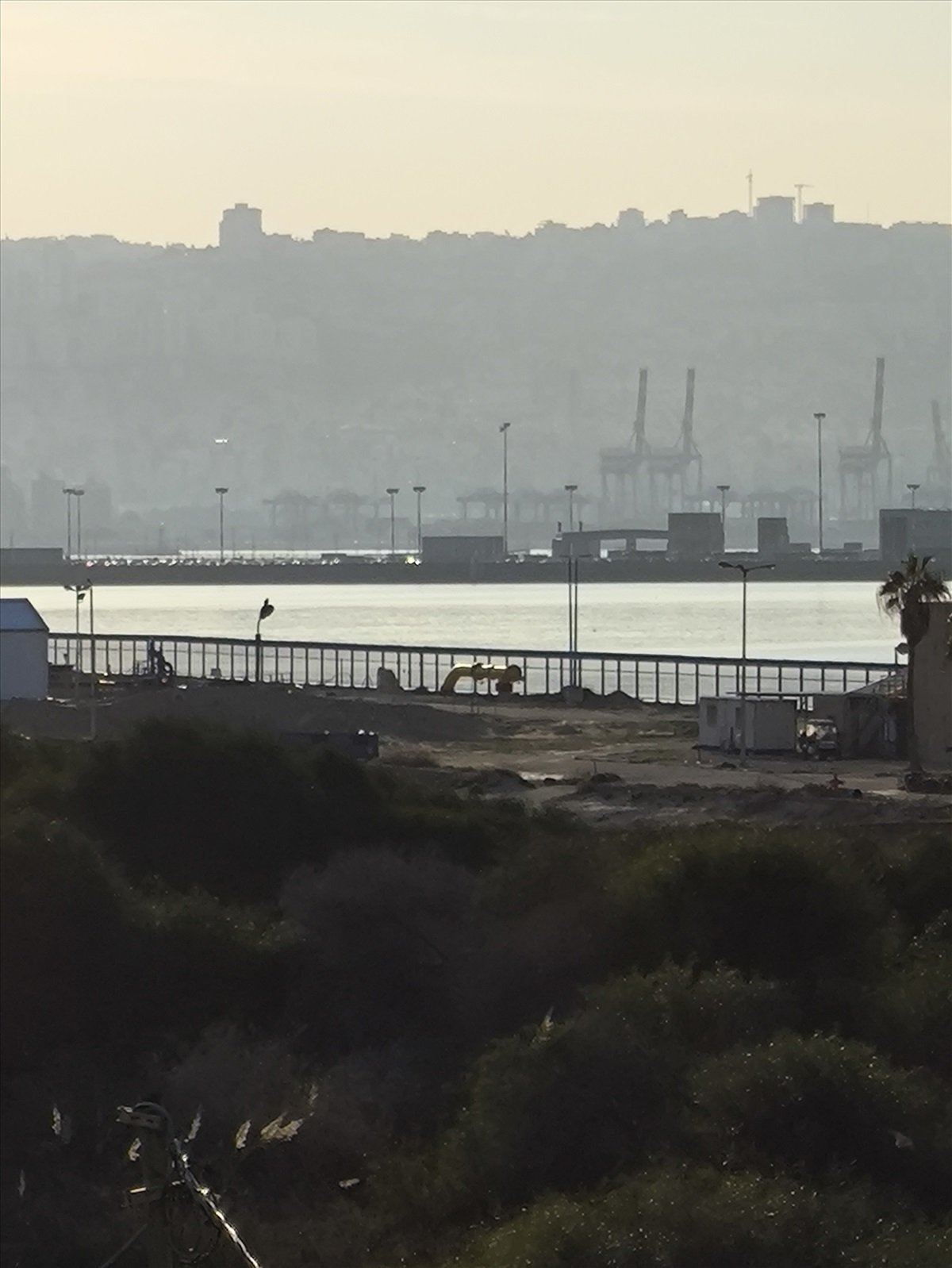 תמונה 1, דירה 3 חדרים להשכרה בקרית חיים, דגניה 