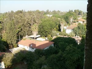 דירה להשכרה 3 חדרים בקרית אונו המעגל 
