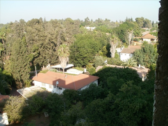 תמונה 1 ,דירה 3 חדרים להשכרה בקרית אונו, המעגל, רימון