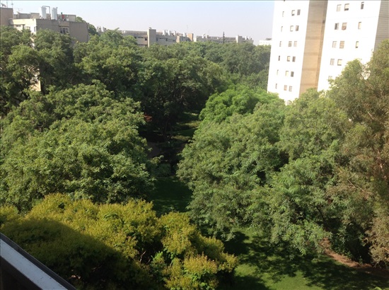 תמונה 3 ,דירה 3 חדרים להשכרה בקרית אונו, המעגל, רימון