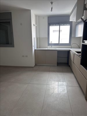 דירה להשכרה 4 חדרים בתל אביב יפו פרופ' יובל נאמן 