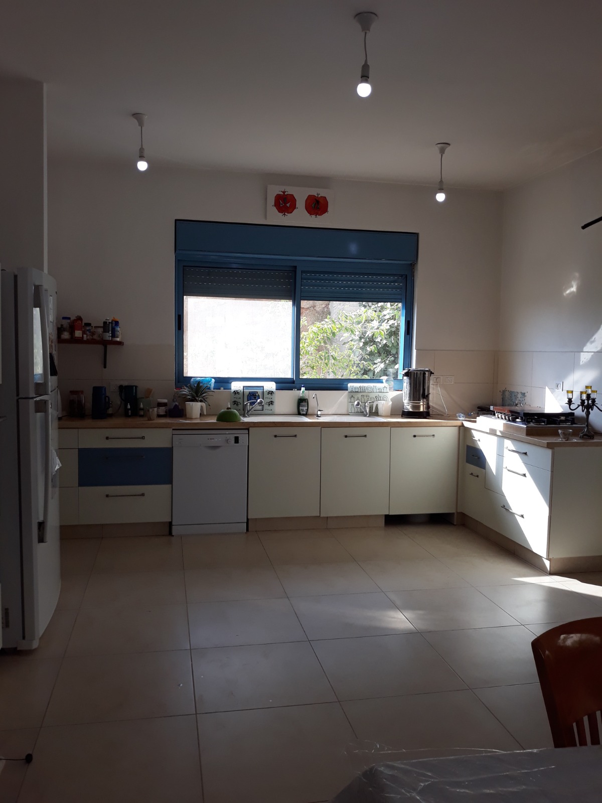תמונה 1, בית פרטי 5 חדרים להשכרה בקדומים, מעלה רשי 5, גבעת רשי
