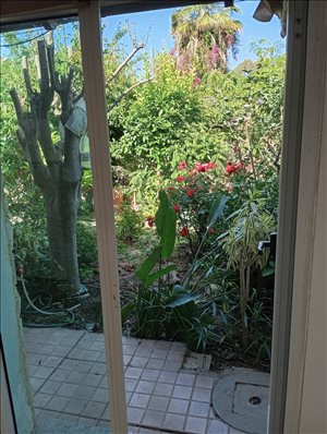 דירת סטודיו להשכרה 1 חדרים בהוד השרון הבנים שיכון גיורא 
