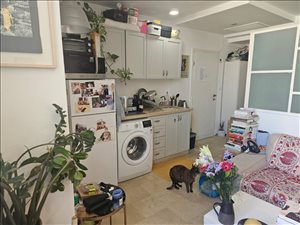 דירה להשכרה 2 חדרים בתל אביב יפו נחום הנביא  