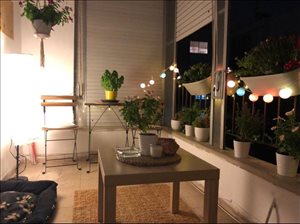 דירה, 2 חדרים, אשתורי הפרחי, תל אביב יפו  