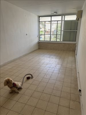 דירה להשכרה 3 חדרים באזור יצחק שדה 9 