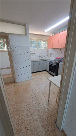 דירה להשכרה 3.5 חדרים בחיפה זלמן שניאור  