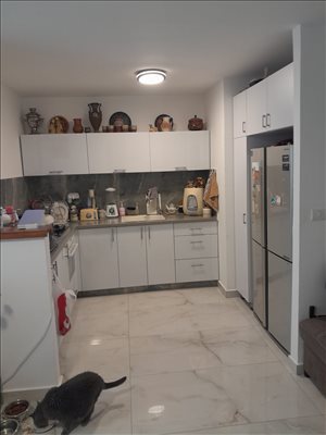 דירה להשכרה 3.5 חדרים בדימונה דרך דוד בן גוריון 