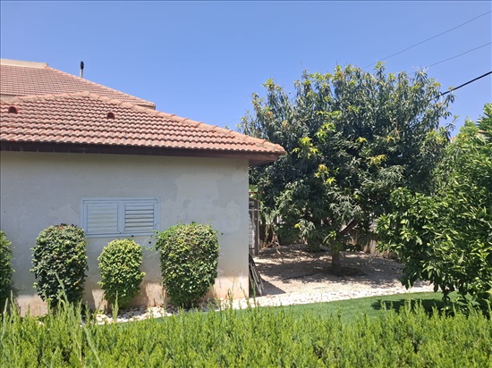 תמונה 3, בית פרטי 2 חדרים להשכרה ברעננה, העצמאות