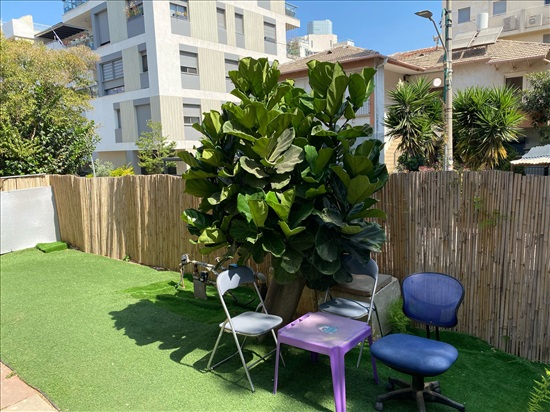 תמונה 3, דירת גן 3.5 חדרים להשכרה ברמת גן, הרכסים , תל יהודה