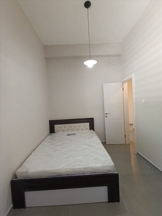 תמונה 2 ,דירה 3 חדרים להשכרה בחיפה, החלוץ, 