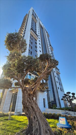 דירה להשכרה 4 חדרים באשקלון יפה נוף  