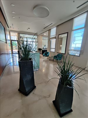 דירה להשכרה 5 חדרים בנתניה אהוד מנור עיר ימים 