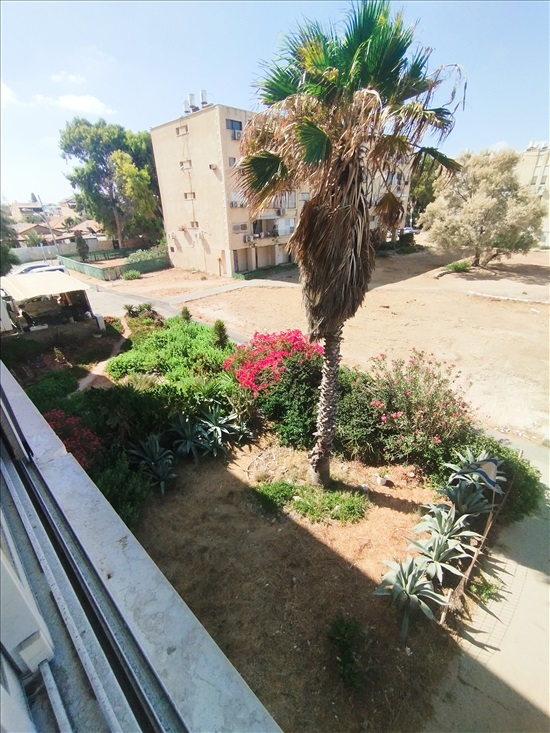 תמונה 2 ,דירה 3 חדרים להשכרה בחיפה, שדרות הנשיא טרומן, קריית חיים 