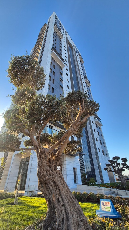 תמונה 1 ,דירה 4 חדרים להשכרה באשקלון, יפה נוף, 