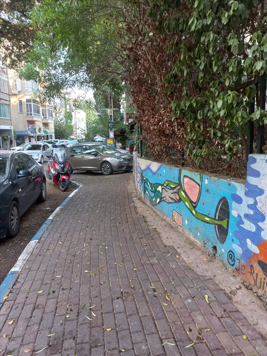 תמונה 5 ,דירה 2.5 חדרים להשכרה בחיפה, מסדה, הדר עליון