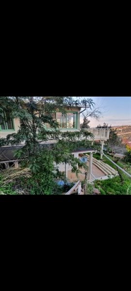 דירת גן להשכרה 2.5 חדרים בעץ אפרים הארז  
