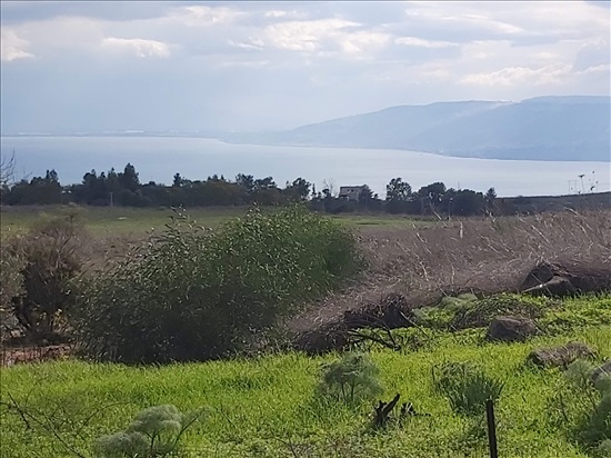 כניסה פרטית רק לדיירים