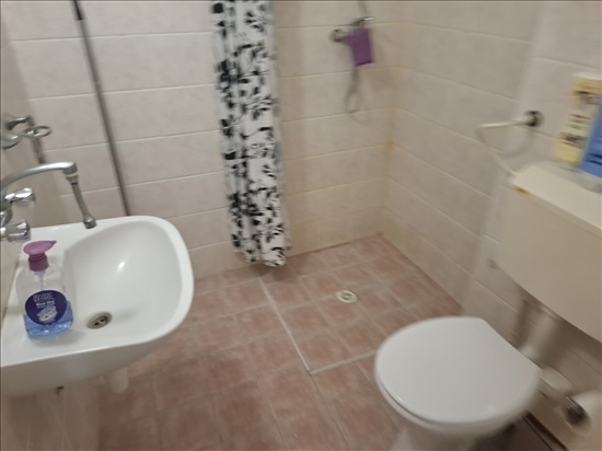 תמונה 2 ,דירה 2.5 חדרים להשכרה בקרית חים, שדרות דגניה , 