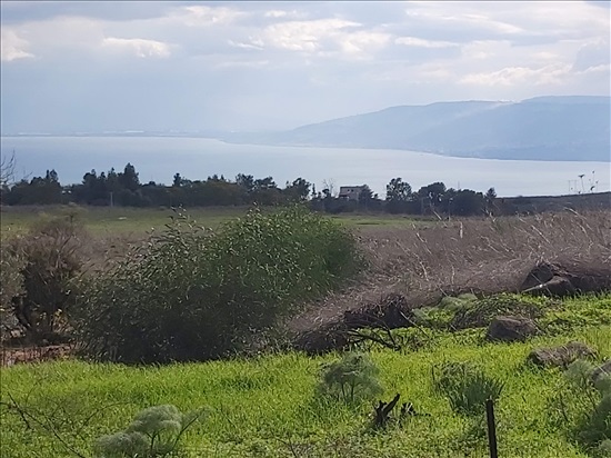 תמונה 2 ,יחידת דיור 3 חדרים להשכרה בכורזים, שיאון, כורזים