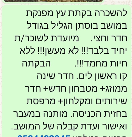תמונה 2 ,יחידת דיור 1.5 חדרים להשכרה בבוסתן הגליל, דרך הים, 