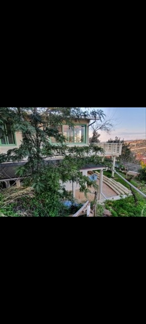 תמונה 1 ,דירת גן 2.5 חדרים להשכרה בעץ אפרים, הארז , 
