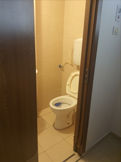 תמונה 5 ,דירה 1 חדרים להשכרה בחיפה, החלוץ 29, 