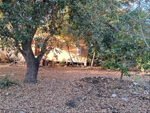 בית פרטי להשכרה 2.5 חדרים בעמיקם רקפת 