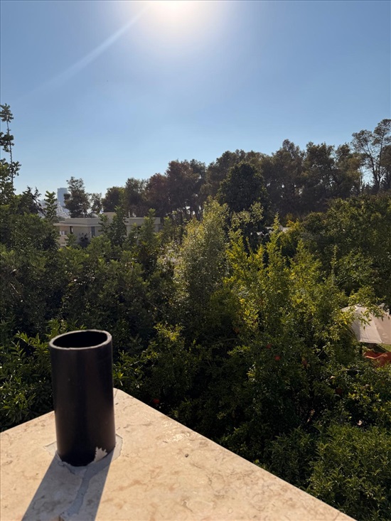 תמונה 8 ,בית פרטי 8 חדרים להשכרה בשילת, נורית, 